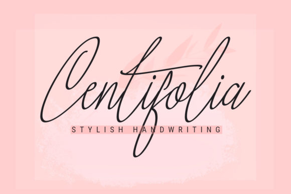Centifolia: A Delicate Script Font for Editorial Design
