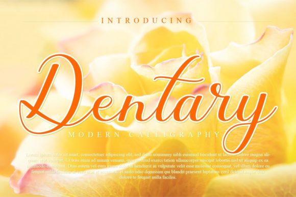 Dentary Script Font for Modern Web Design