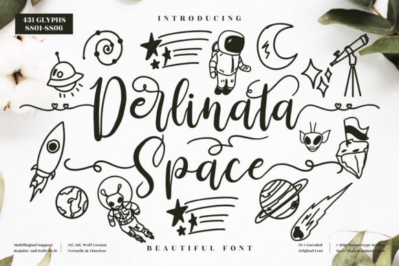 Derlinata Space: A Premium Script Font for Web Design