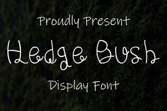 Hedge Bush: A Script Font for Editorial Warmth