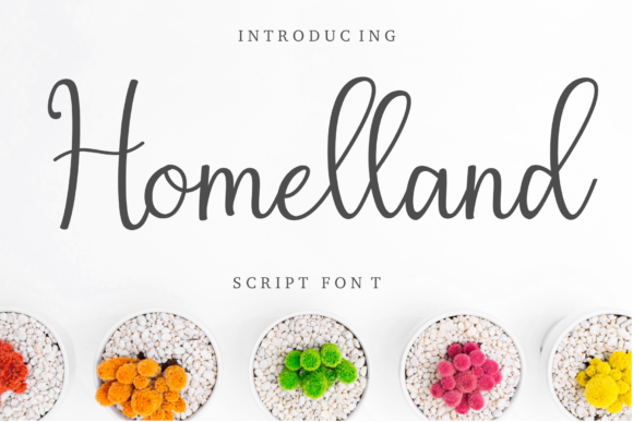 Homelland Font: Elevating Web Design Elegance