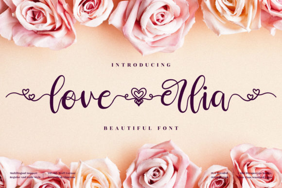 Love Erlia: A Graceful Script Font for Editorial Design