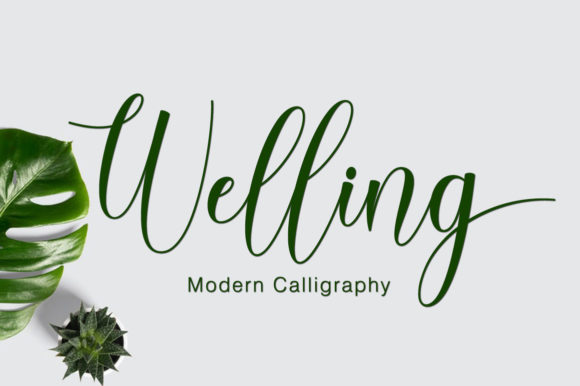 Welling Font: A Designer’s Take on Elegant Script